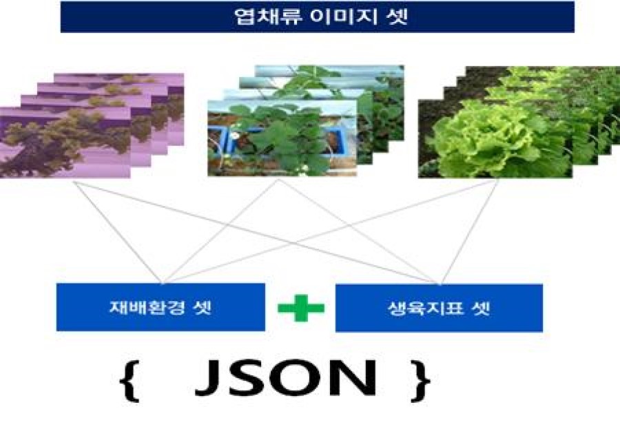 지능형 수직농장 통합 데이터 (엽채류)-데이터 구성_2_데이터 납품 형상(2)