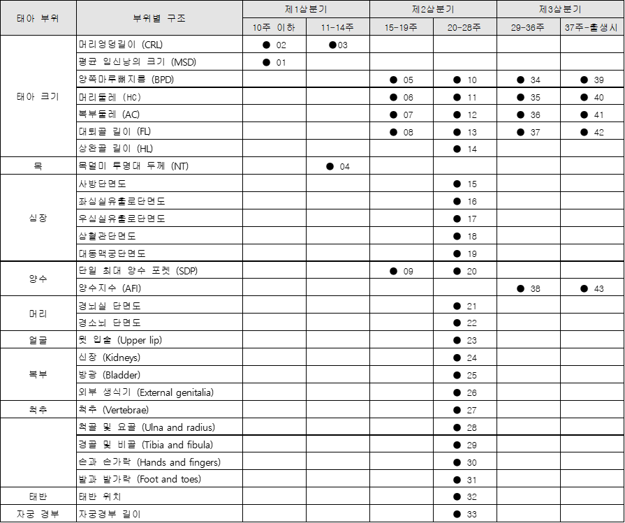 임신중 태아 초음파 영상 데이터-데이터 종류_1