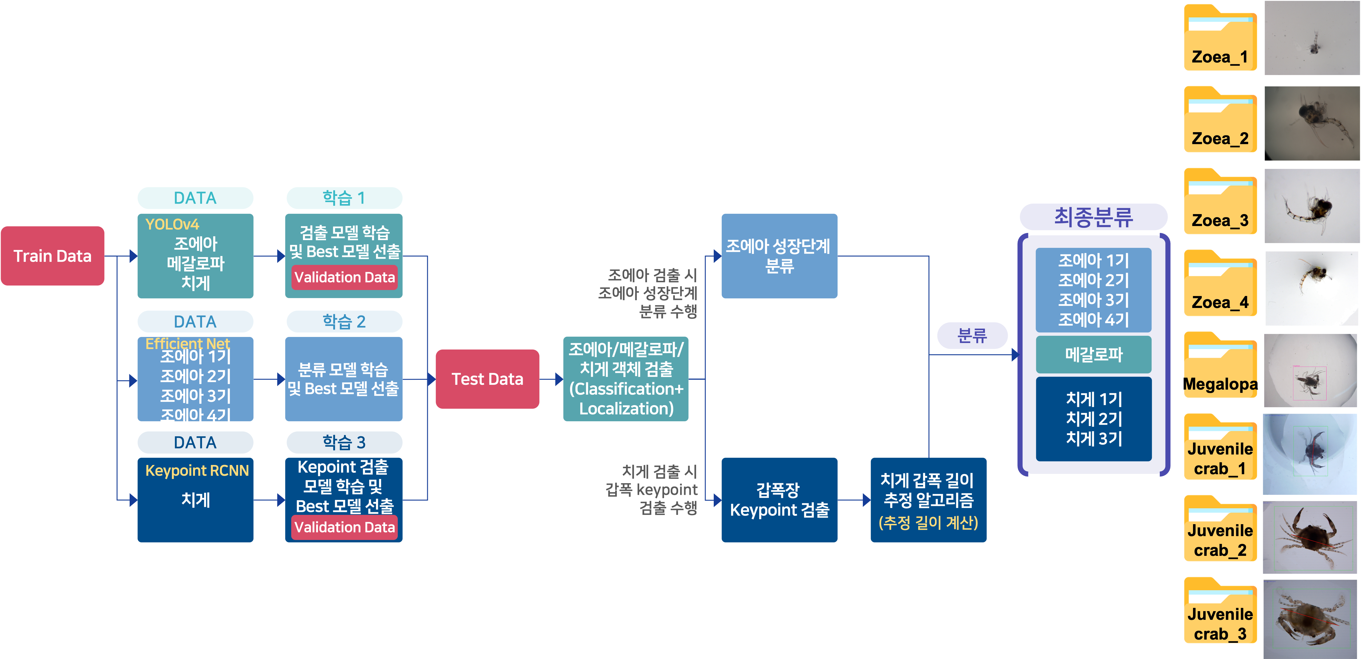 갑각류 종자 성장단계 분류 모델 YOLOv4, EfficientNet, Keypoint R-CNN 모델학습 순서