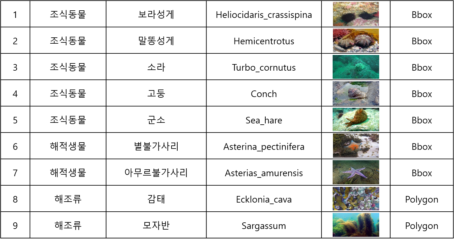 데이터 구성 해양생물 총 9종 조식동물 5종 보라성게 말똥성게 소라 고둥 군소 해적생물2종 별불가사리 아무르불가사리 해조류 2종 감태 모자반