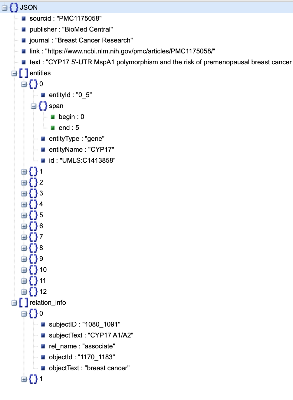 JSON 형식 파일 스크린샷