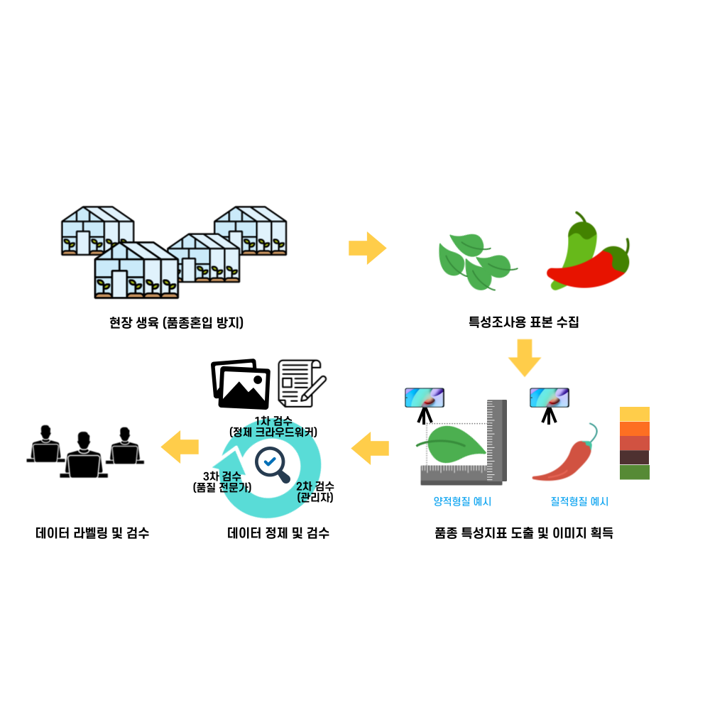현장생욱(품종혼입 방지) 특성조사용 표본 수집 데이터 하벨링 및 검수 데이터 정제 및 검수 품종 특성지표 도출 및 이미지 획득