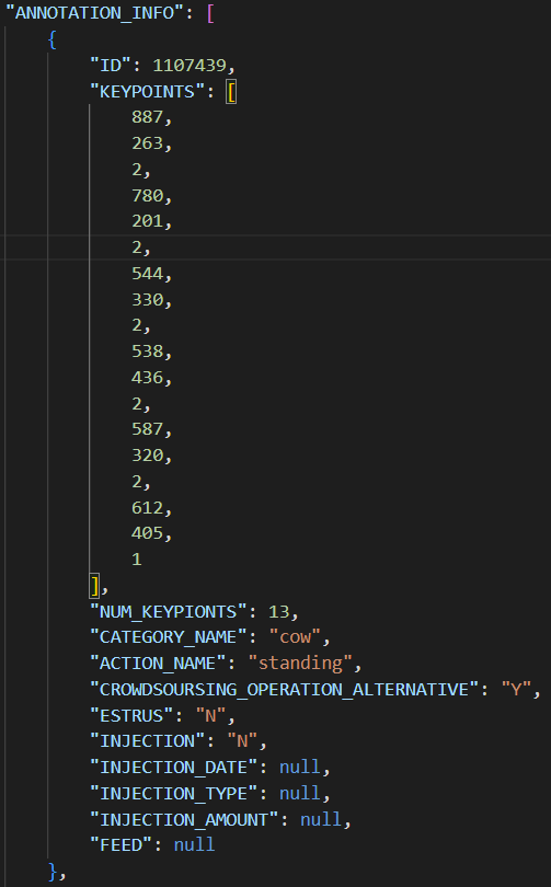 Keypoints 데이터 포맷 JSON