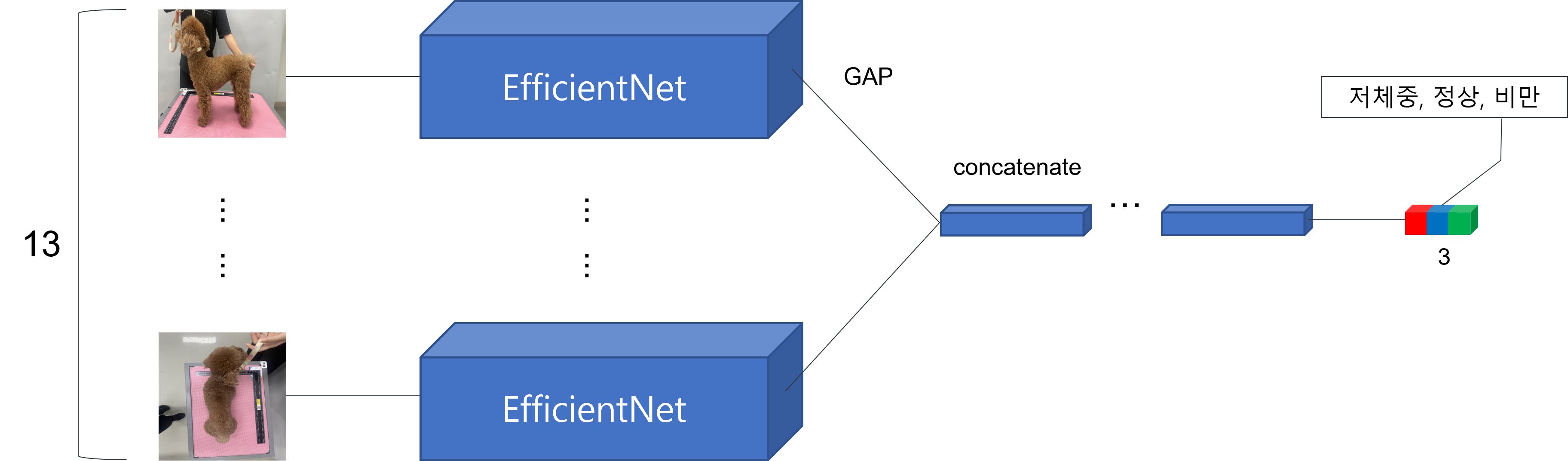 EfficientNet 인공지능 모델 구축 개요