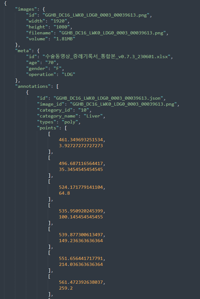 라벨링데이터 json 포맷