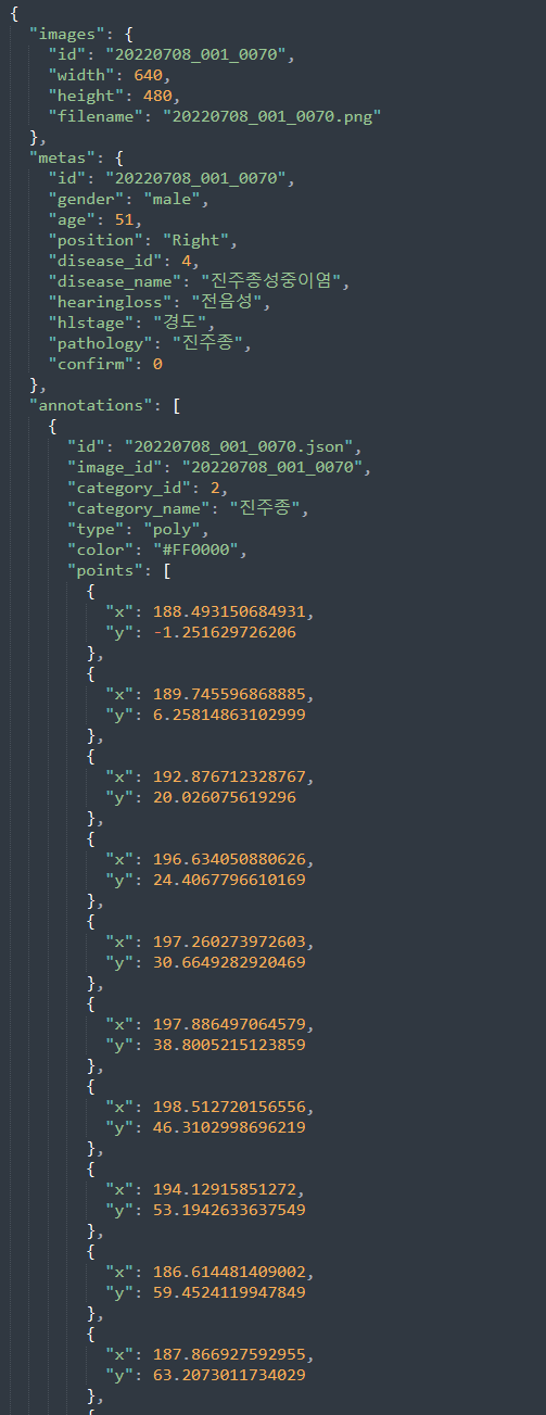 라벨링데이터 json 포맷 이미지