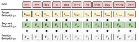 BERT input representation