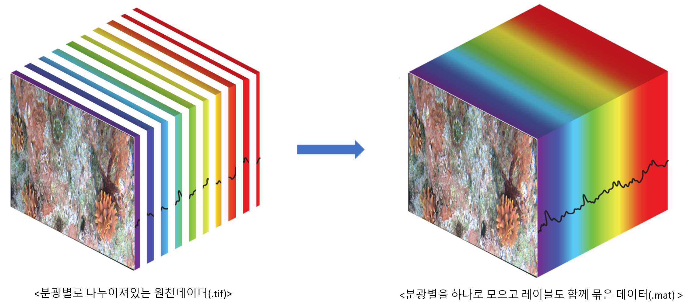 분광별로 나누어져있는 원천데이터(.tif) 에서 분광별을 하나로 모으고 레이블도 함께 묶은 데이터(.mat)로 변환하는 모습 이미지