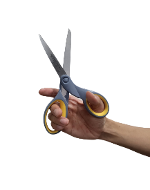 scissors 19: Distal Type