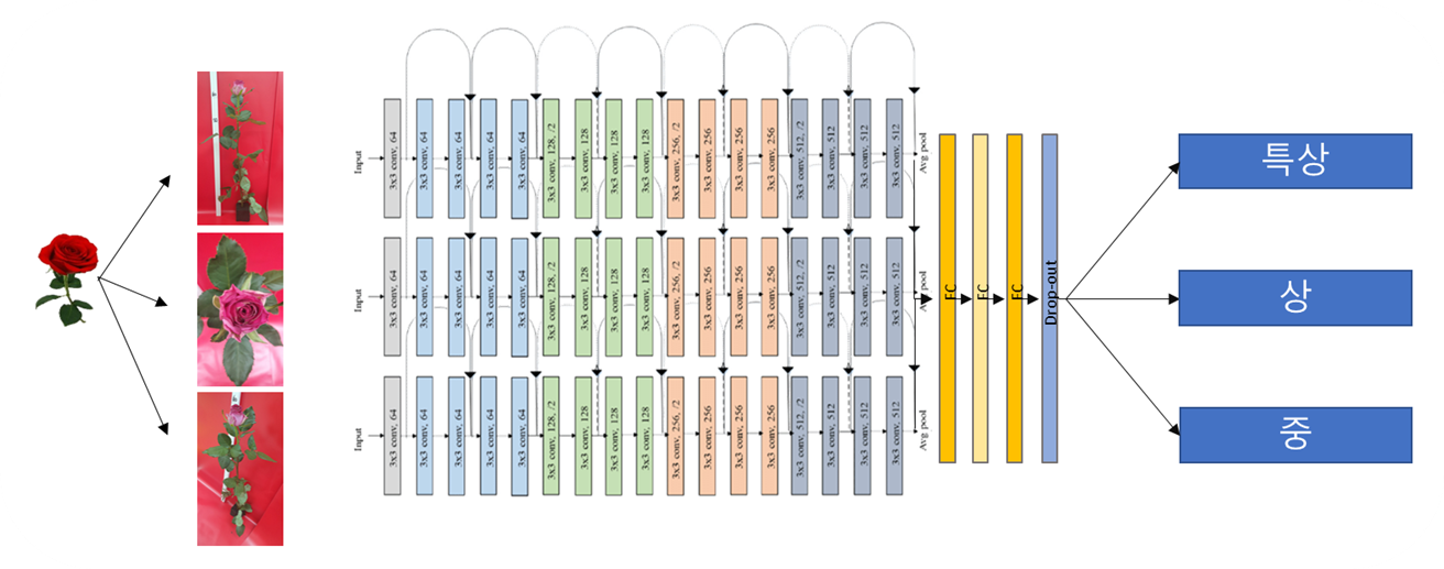 화훼 품질 등급 분류 모델 구조