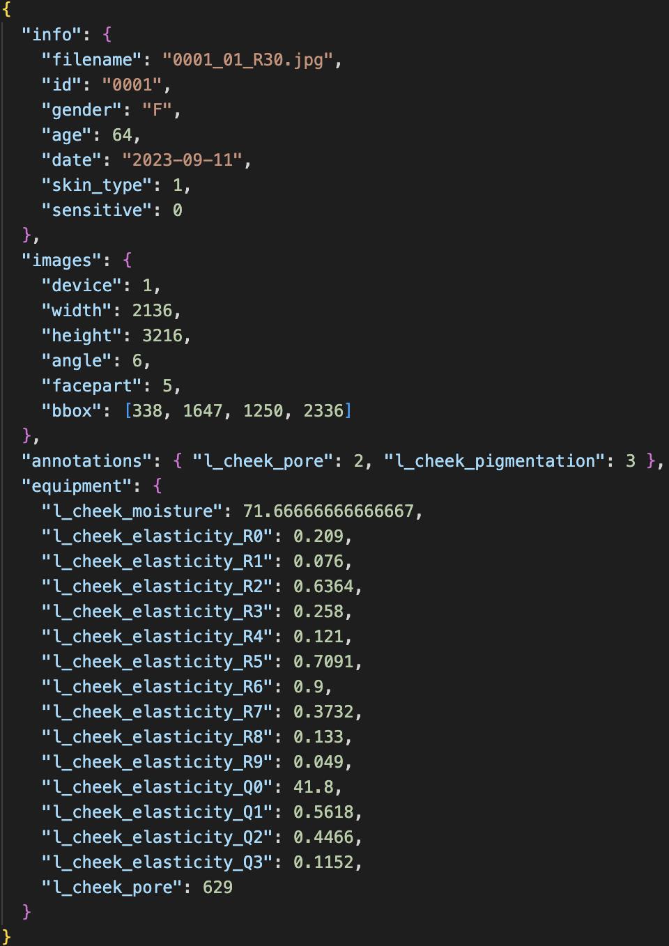 JSON 파일 예시 이미지