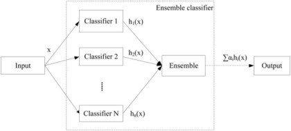 Classification