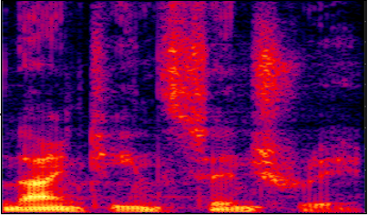 Spectrogram