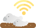 지능형 곤충 스마트팜(누에, 쌍별귀뚜라미) 데이터 아이콘 이미지